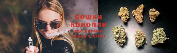 молекула духа Белоозёрский