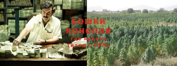 эйфоретик Белокуриха