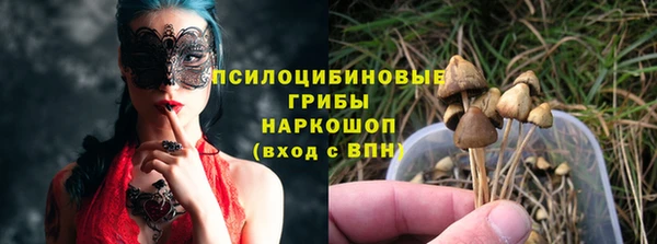 эйфоретик Белокуриха